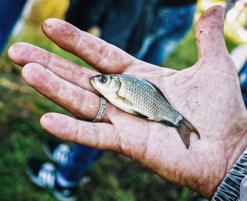 Know what to expect - small fish in a big hand
