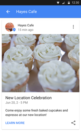 Screen shot - Google Posts